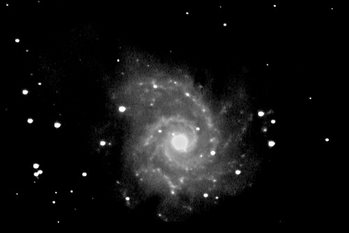 M74